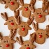 Kruche korzenne ciasteczka renifery – ODCINEK 4 Świątecznych ciasteczek 4